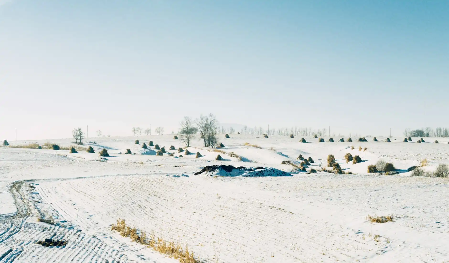 2025年青岛国际物流行业新规解读及货运代理应对策略