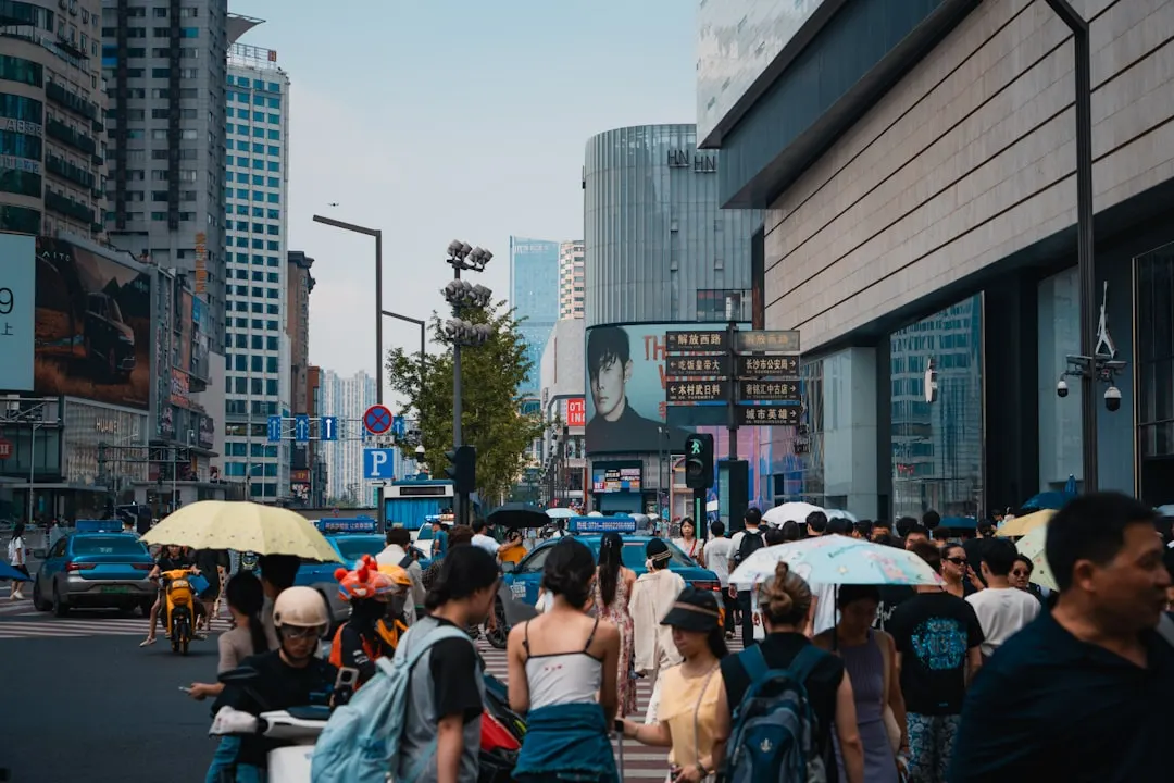 2025年国际海运新规解读:青岛外贸企业如何应对报关清关政策变化